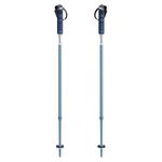 Yardsale Equipment Company P1 Mini Ski Poles Bluebird