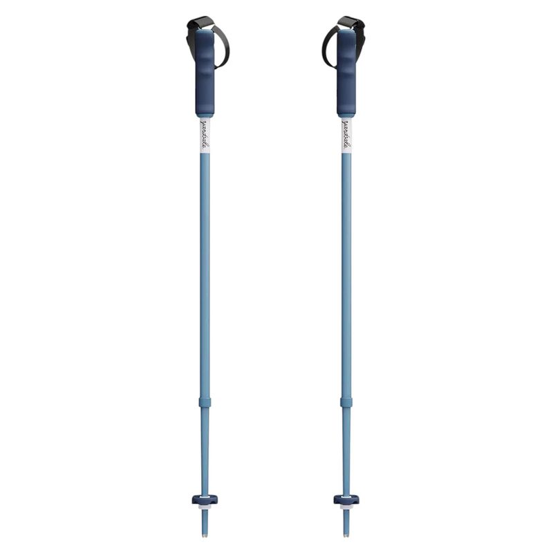 Yardsale Equipment Company P1 Mini Ski Poles Bluebird