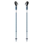 Yardsale Equipment Company P1 Mini Ski Poles Bluebird