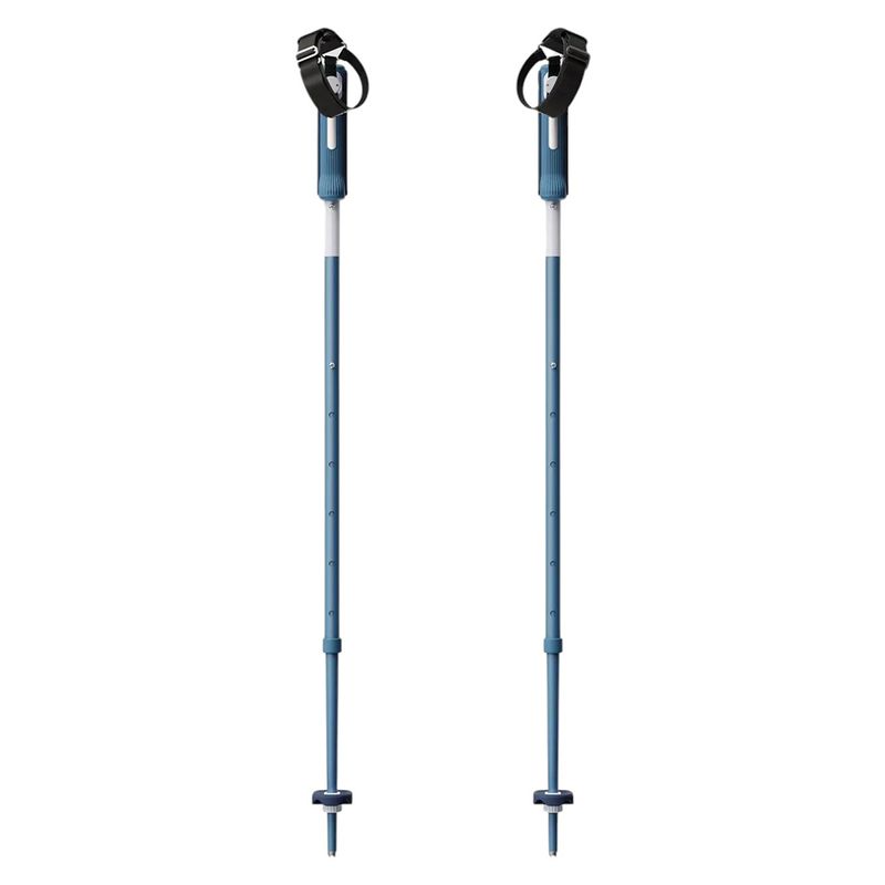 Yardsale Equipment Company P1 Mini Ski Poles Bluebird