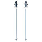 Yardsale Equipment Company P1 Resort Ski Poles Bluebird