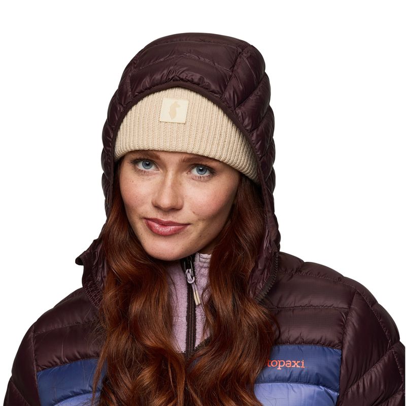 Cotopaxi Fuego Down Parka - Women's Coffee Stripes