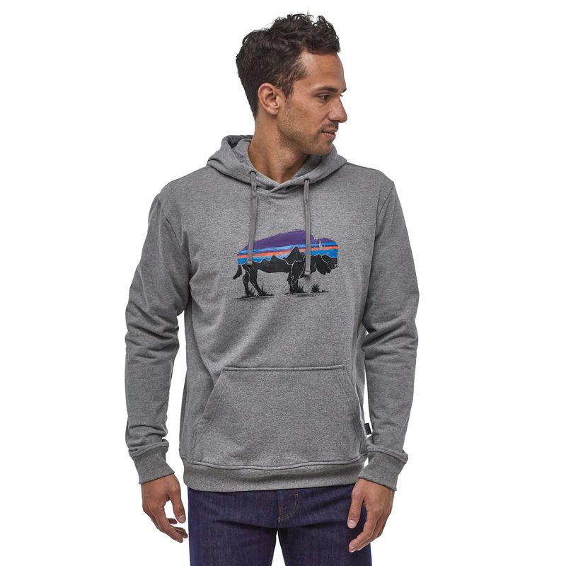 patagonia fitz roy bear uprisal hoody