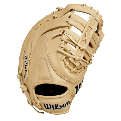 Wilson A2000 1679 Glove Day Series Baseball Mitt