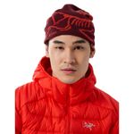 Arc'teryx Bird Head Toque Beanie Mars / Dynasty