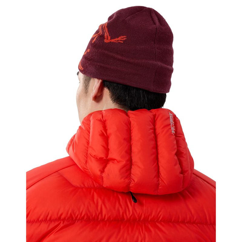 Arc'teryx Bird Head Toque Beanie Mars / Dynasty