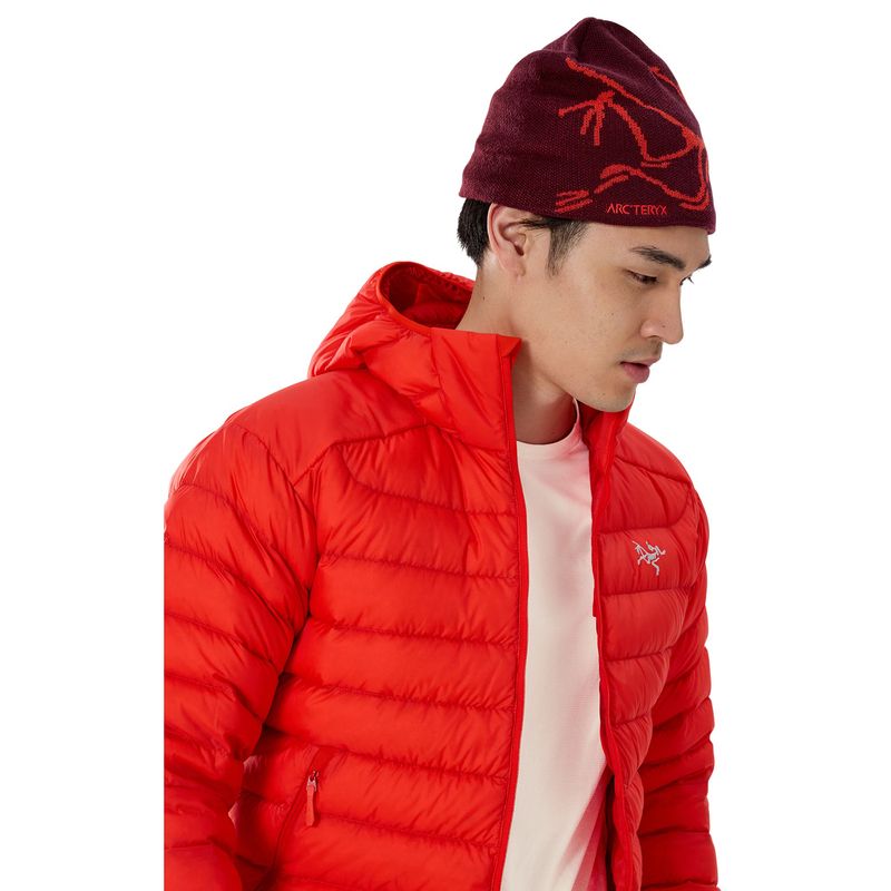 Arc'teryx Bird Head Toque Beanie Mars / Dynasty