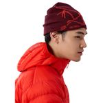 Arc'teryx Bird Head Toque Beanie Mars / Dynasty