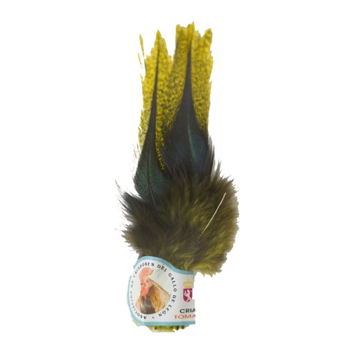 Hareline Dubbin COQ De Leon UV2 Perdigon  Fire Tail Feathers