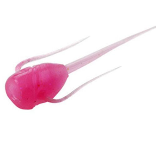 13 Fishing Paralyzer Soft Bait (6 Pack)