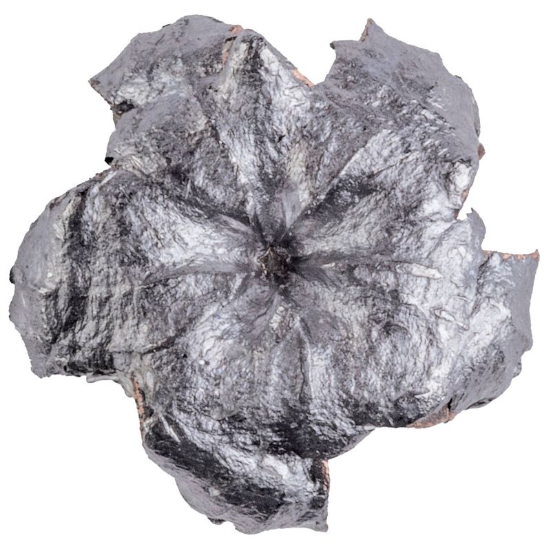 Federal Punch 22 WMR 45Gr JHP Ammo 50 Rounds 45GR JHP