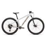 Specialized Rockhopper Expert Bike - 2025 Gloss Silver Dust / Satin Burnt Gold Metallic