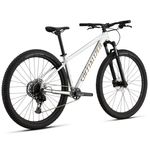 Specialized Rockhopper Expert Bike - 2025 Gloss Silver Dust / Satin Burnt Gold Metallic