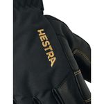 Hestra Army Leather GORE-TEX Ski Glove Black / Black