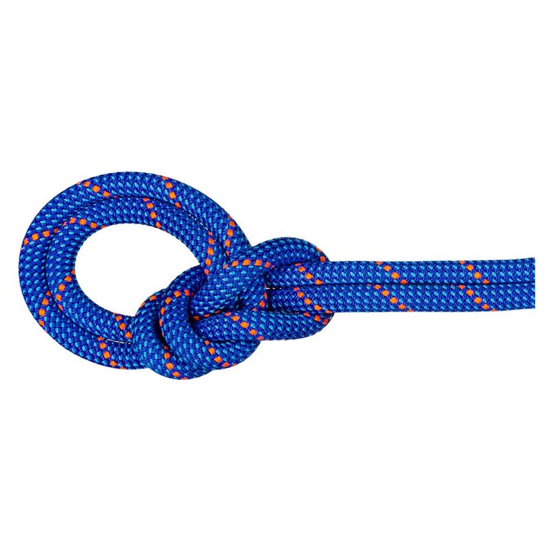 Mammut 9.5 Crag Dry Rope Blue / Ocean