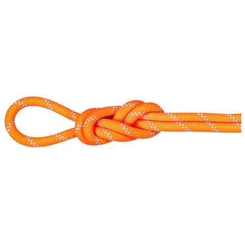 Mammut Rope Alpine Dry 9.5 Rope