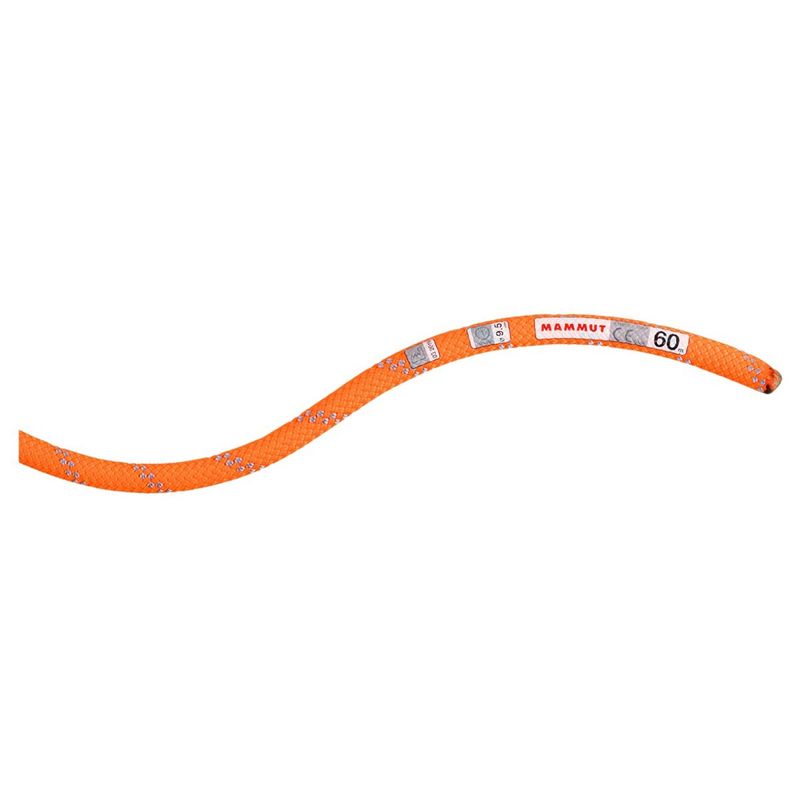 Mammut Rope Alpine Dry 9.5 Rope Safety Orange