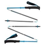 Black Diamond Distance Carbon Z Running Pole Desert Sky