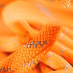 Mammut Rope Alpine Dry 9.5 Rope Safety Orange