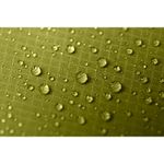 NEMO Hornet OSMO 1P Tent Birch Bud / Goodnight Gray