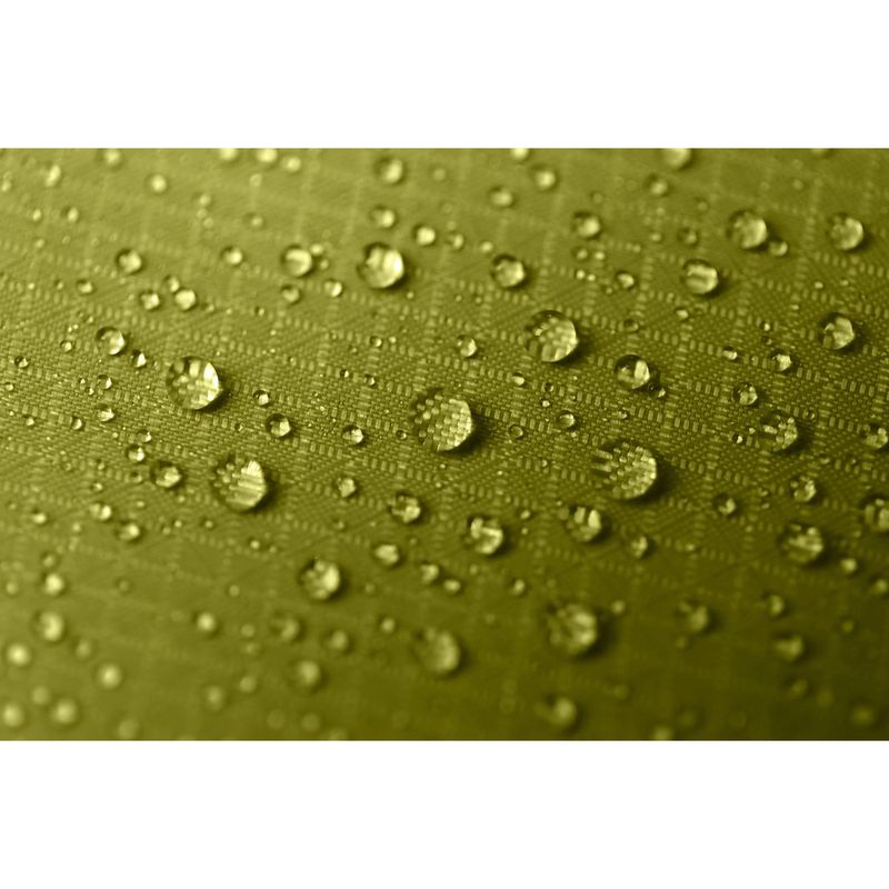 NEMO Hornet OSMO 1P Tent Birch Bud / Goodnight Gray