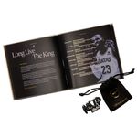 Nike LeBron XXIII LUX Basketball Shoe - Men's Cool Grey / Black / Metallic Silver