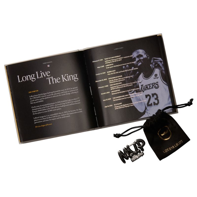 Nike LeBron XXIII LUX Basketball Shoe - Men's Cool Grey / Black / Metallic Silver