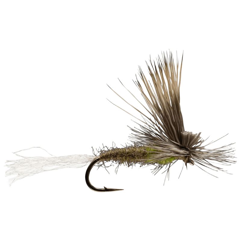 Rio E/C Caddis Fly Olive
