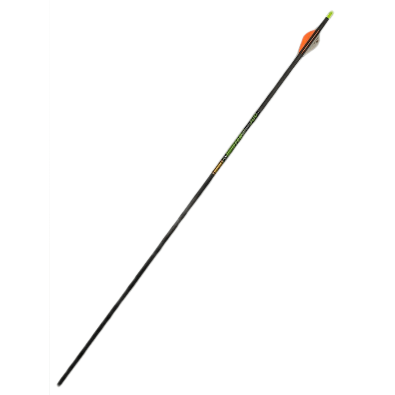 NWEB - GOLD T ARROW HUNTER XT 3FLCH 1PK.jpg