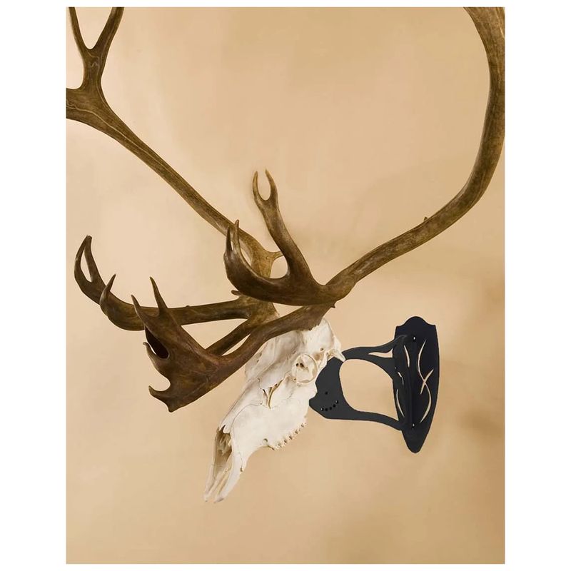 Skull Hooker Big Hooker Black