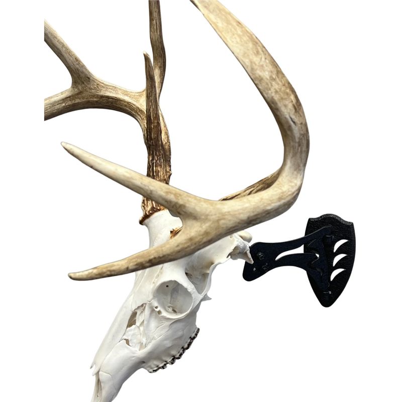 Skull Hooker Little Hooker Black