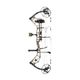 Bear Archery Paradigm RTH Compound Bow DNA / Black