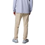 Columbia Terminal Roamer Stretch Pant - Men's Ancient Fossil
