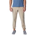 Columbia Terminal Roamer Stretch Pant - Men's Ancient Fossil