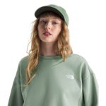 The North Face Evolution Simple Dome Oversized Crew - Women's Slate Moss