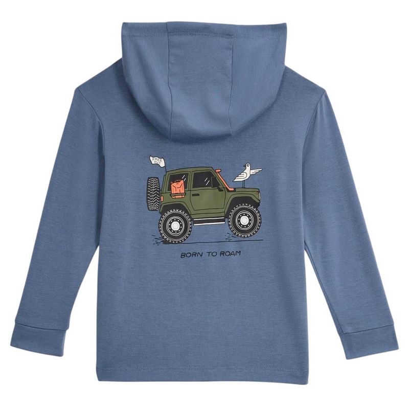 Free Fly Bamboo Shade Graphic Hoodie - Toddler Born To Roam Pacific Blue