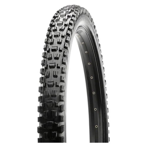 Maxxis Assegai 3C MaxxTerra/EXO+ TR 29" Tire