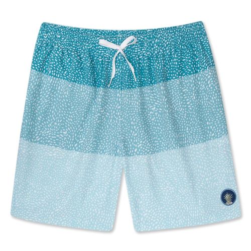 Chubbies The Whale Shark Classic 5.5" Swim Trunk - Men's