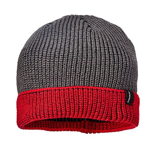 Screamer Mark Beanie - Men's - Bobwards.com