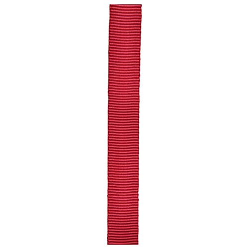 Liberty-Mountain-Tube-Web-1-Inch-x-300-Feet-Red