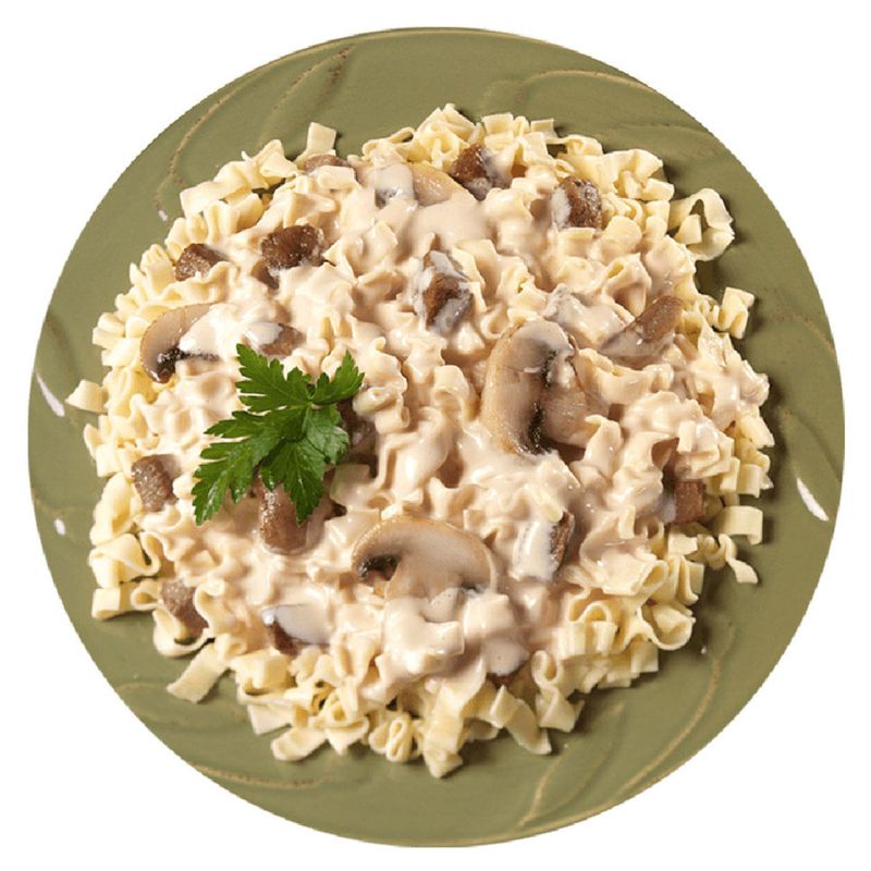 mountainhouse-stroganoff-alt-14