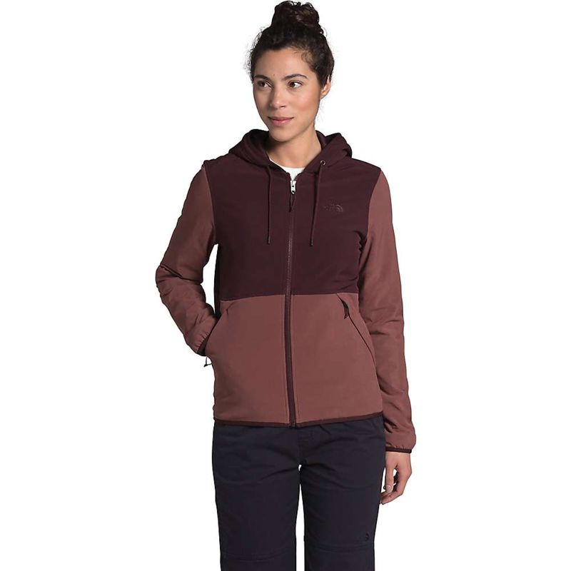 womens north face mountain jacket