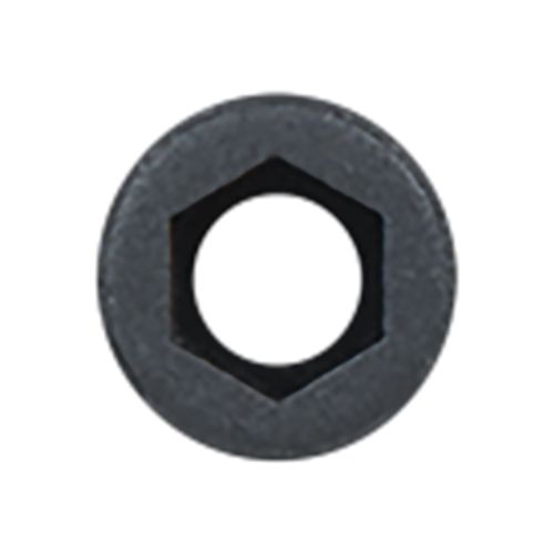 HAMSKEA Archery 1/8 Insight Aperture