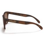 Oakley-Frogskins-Sunglasses