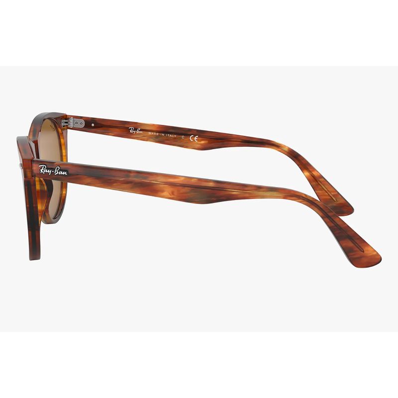 Wayfarer 2024 ii evolve