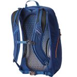 arrio-back