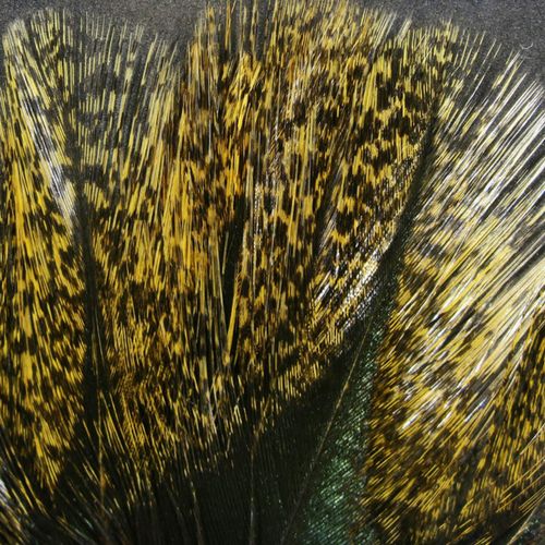 Hareline COQ De Leon Feathers