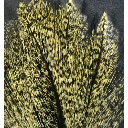 Hareline COQ De Leon Feathers