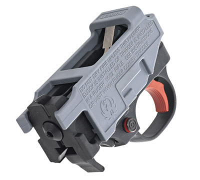 Ruger-BX-TRIGGER.jpg