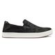 NWEB--M'S SHOE PEHUEA PA'I.jpg